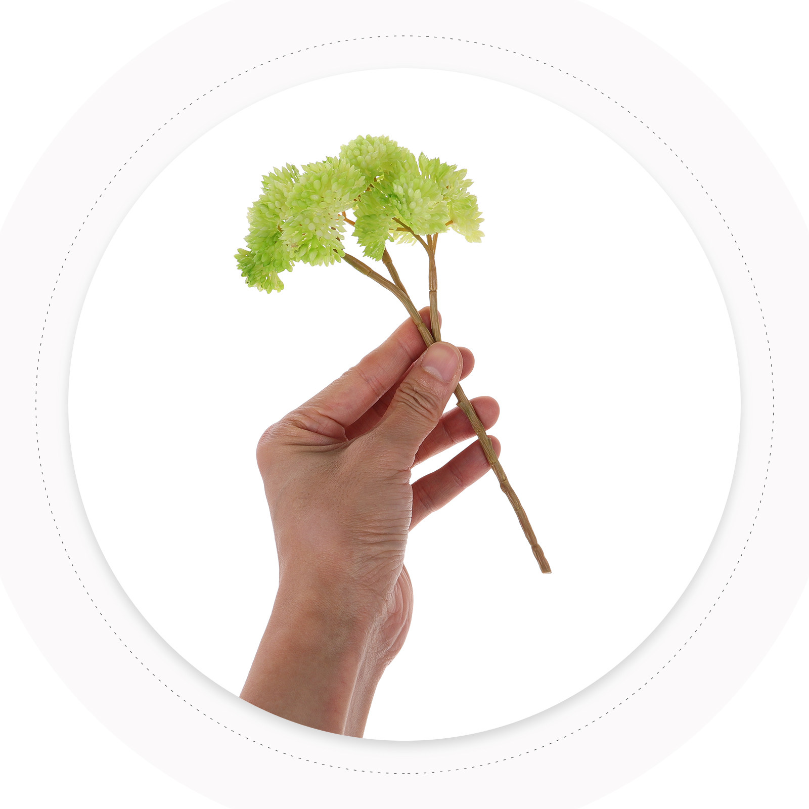 Realistic Faux Succulent Plant - Photography Lighting Home 评论和价格