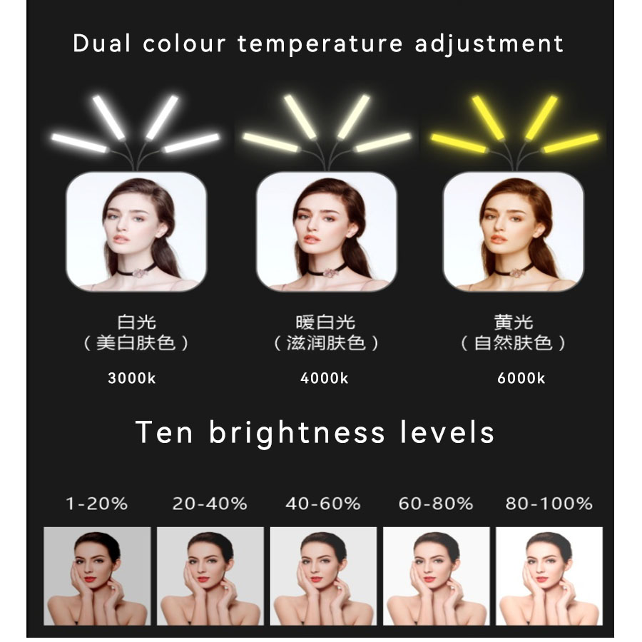 Dual Head / Quad Head / Hex He - Photography Lighting No Shadows 评论和价格